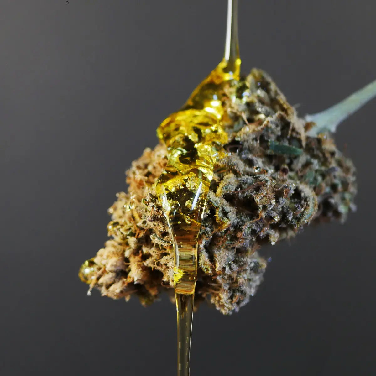 CannaCrafted