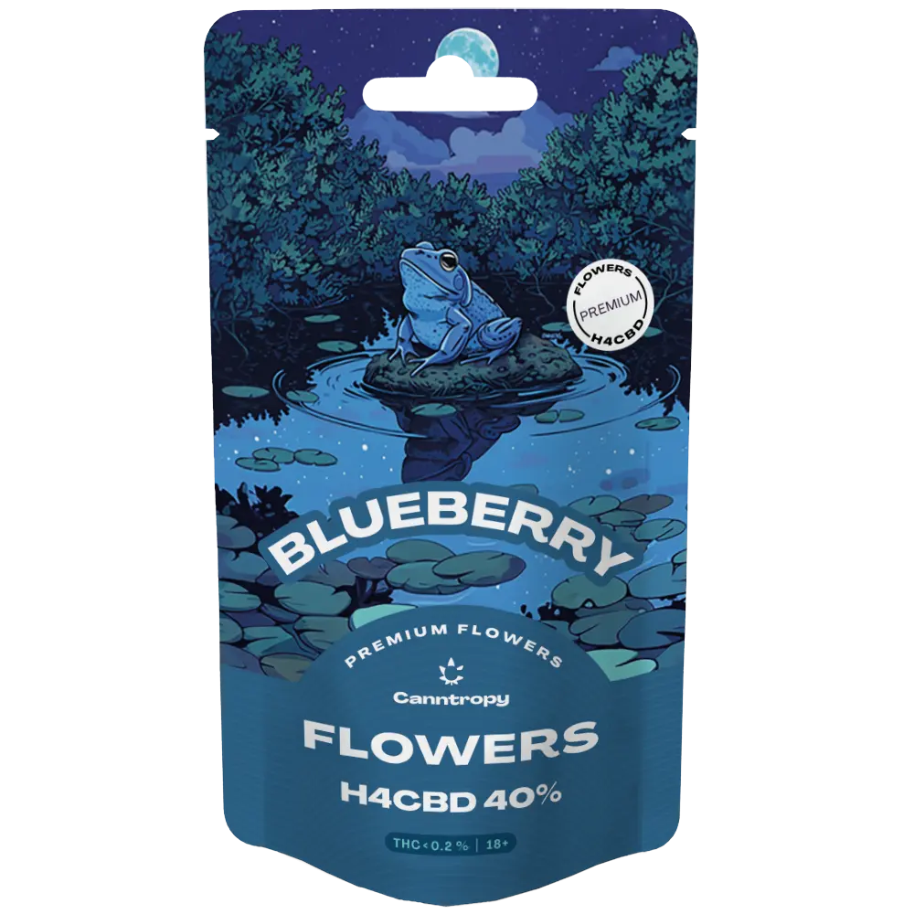 Canntropy H4CBD Blüten | Blueberry - 40% Brands of Hemp
