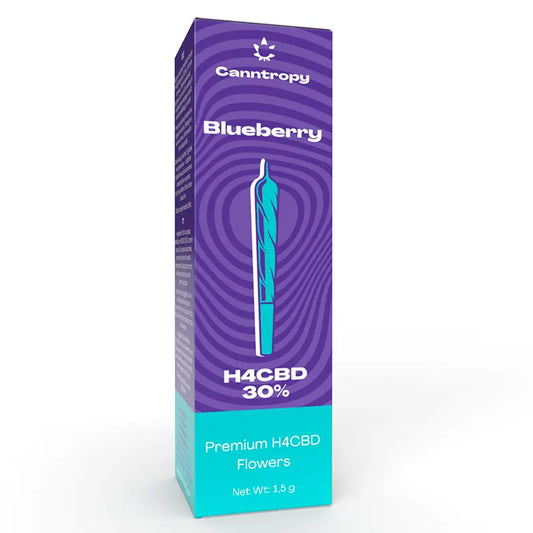 Canntropy H4CBD Preroll | Blueberry - 1,5g Brands of Hemp