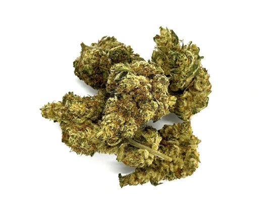 10-OH-HHC Blüten | OG Kush - 20% Blüten czechcbd